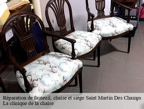 Réparation de fauteuil, chaise et siège saint-martin-des-champs-78790 La clinique de la chaise