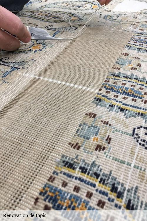 Rénovation de tapis millemont-78940 La clinique de la chaise