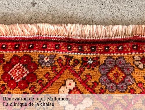 Rénovation de tapis millemont-78940 La clinique de la chaise