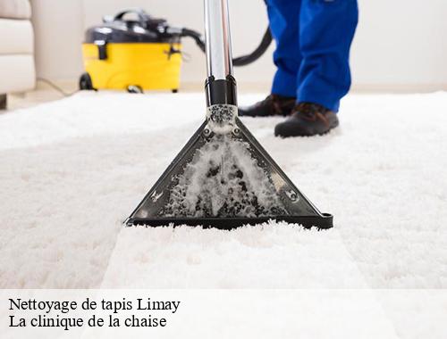 Nettoyage de tapis limay-78520 La clinique de la chaise
