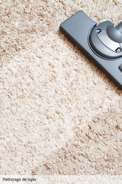 Nettoyage de tapis maulette-78550 La clinique de la chaise