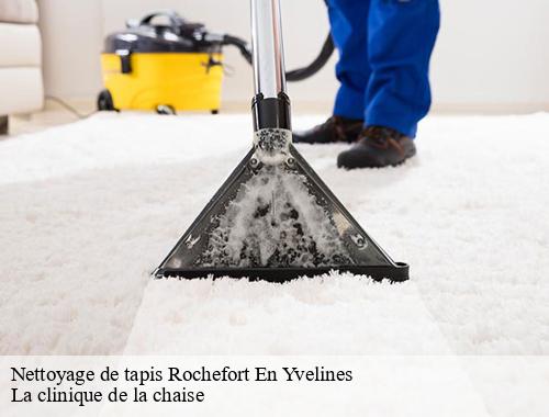 Nettoyage de tapis rochefort-en-yvelines-78730 La clinique de la chaise