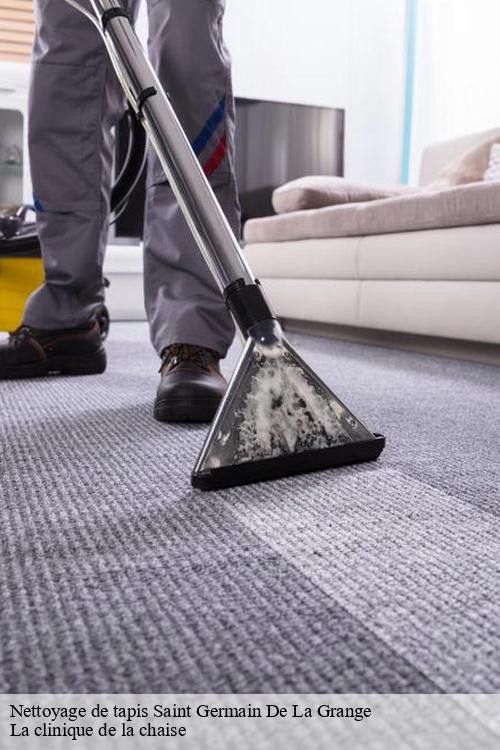 Nettoyage de tapis saint-germain-de-la-grange-78640 La clinique de la chaise