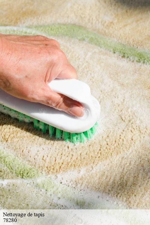 Nettoyage de tapis bouviers-78280 La clinique de la chaise