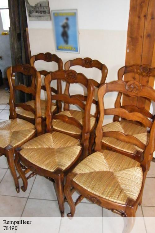 Rempailleur le-tremblay-sur-mauldre-78490 La clinique de la chaise
