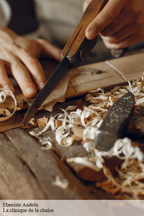 Ebeniste andelu-78770 La clinique de la chaise