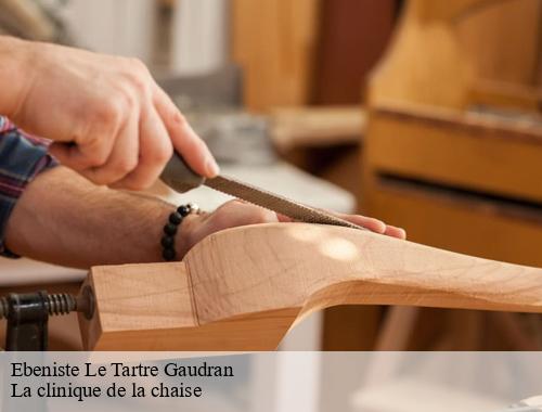 Ebeniste le-tartre-gaudran-78113 La clinique de la chaise